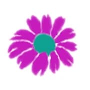 East City Flower Shop