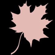 SH~E Consulting